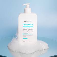 Face fact ceramide blemish foaming cleanser(400ml)